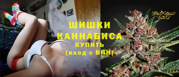 spice Арсеньев